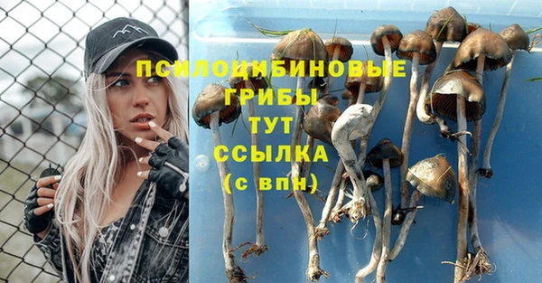 МДМА Елизово