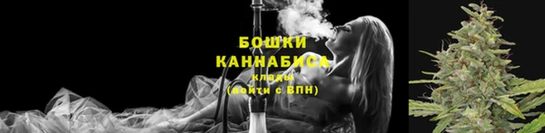 винт Гусев