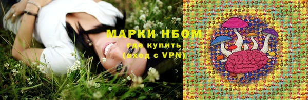 прущие грибы Баксан