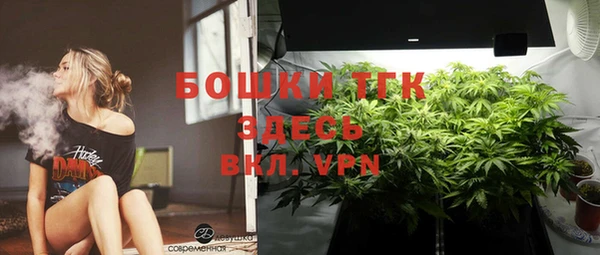 мяу мяу мука Кодинск