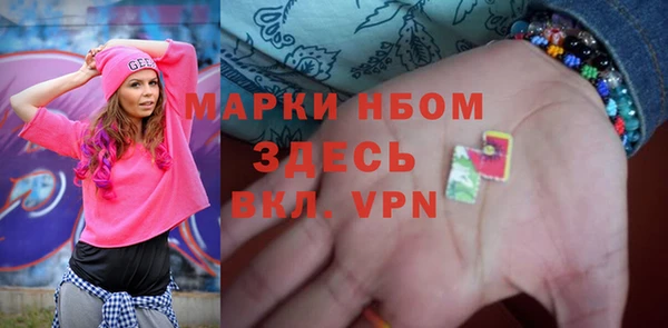 прущие грибы Баксан