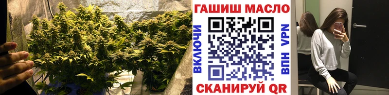 ТГК концентрат kraken ONION Бирюсинск