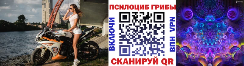 Псилоцибиновые грибы Magic Shrooms  Бирюсинск 